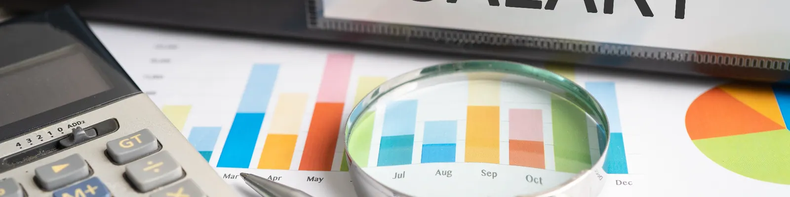Bookkeeping, reconciliation and monthly financial reporting